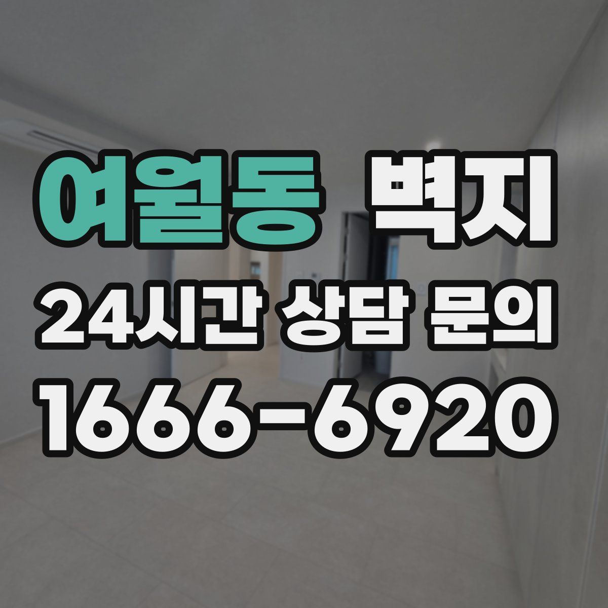 여월동 벽지