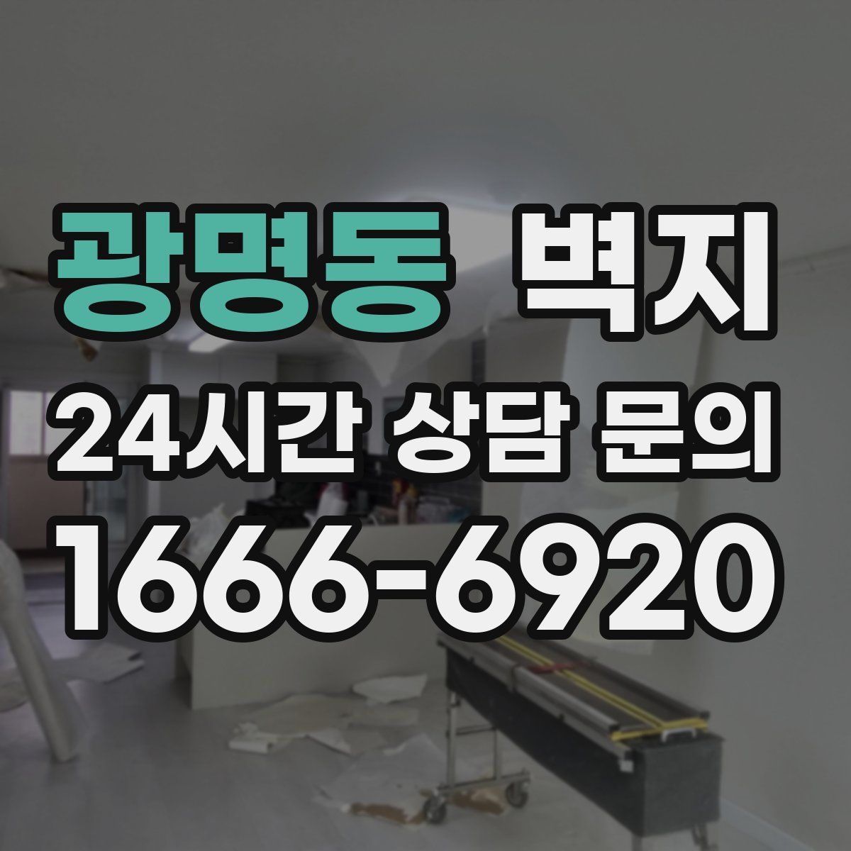 광명동 벽지