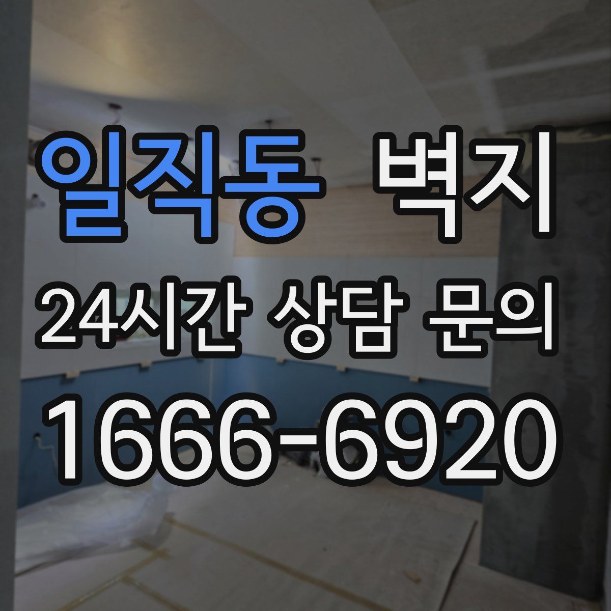 일직동 벽지