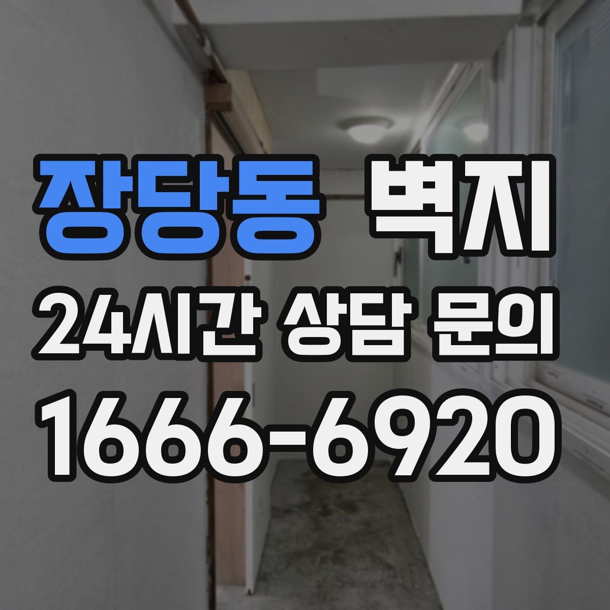 장당동 벽지