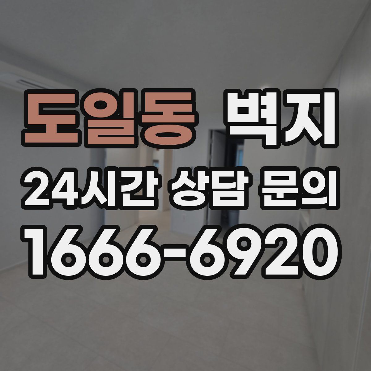 도일동 벽지