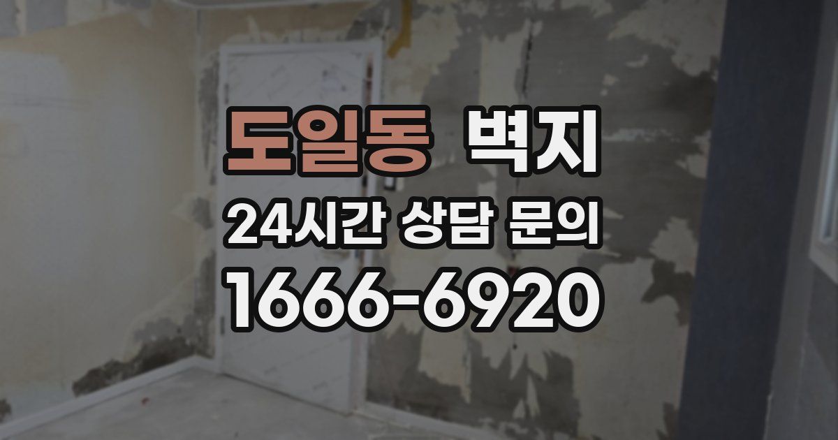 도일동 벽지
