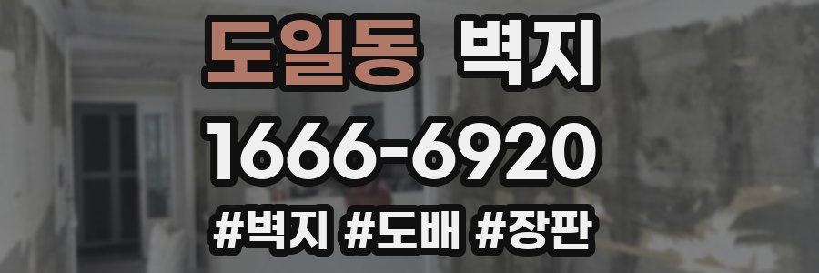 도일동 벽지