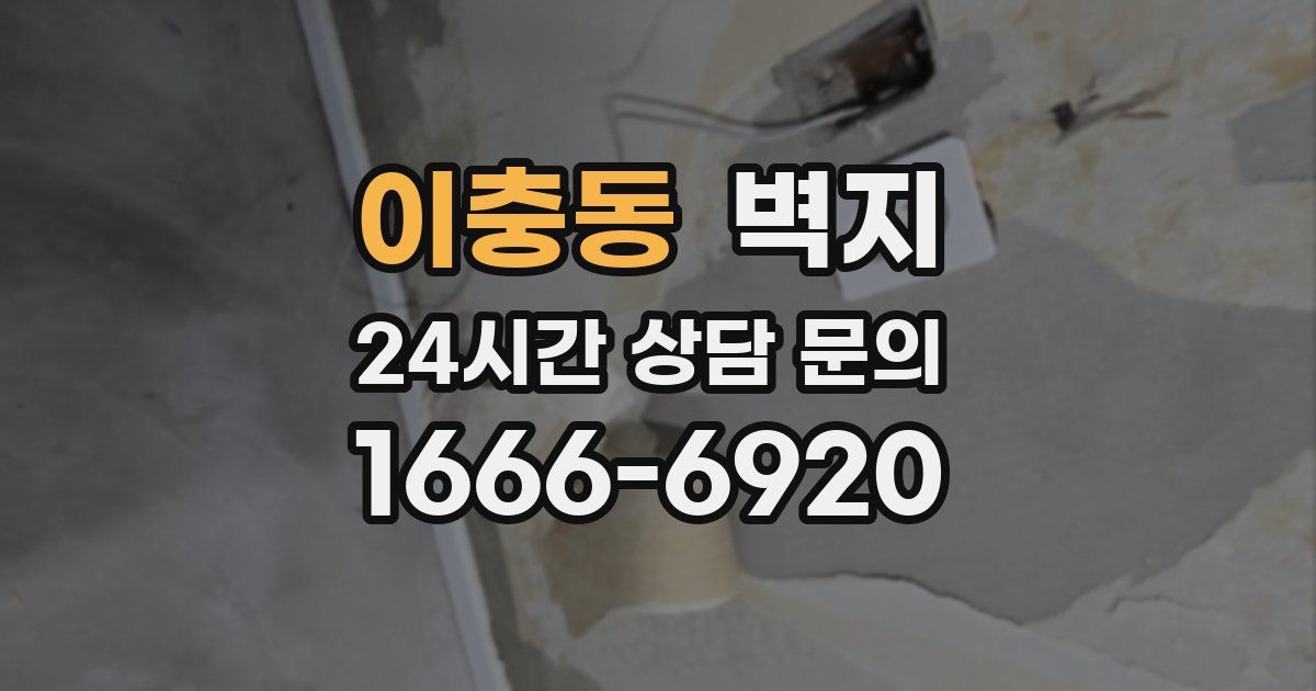 이충동 벽지