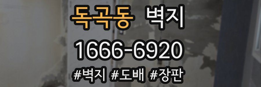 독곡동 벽지