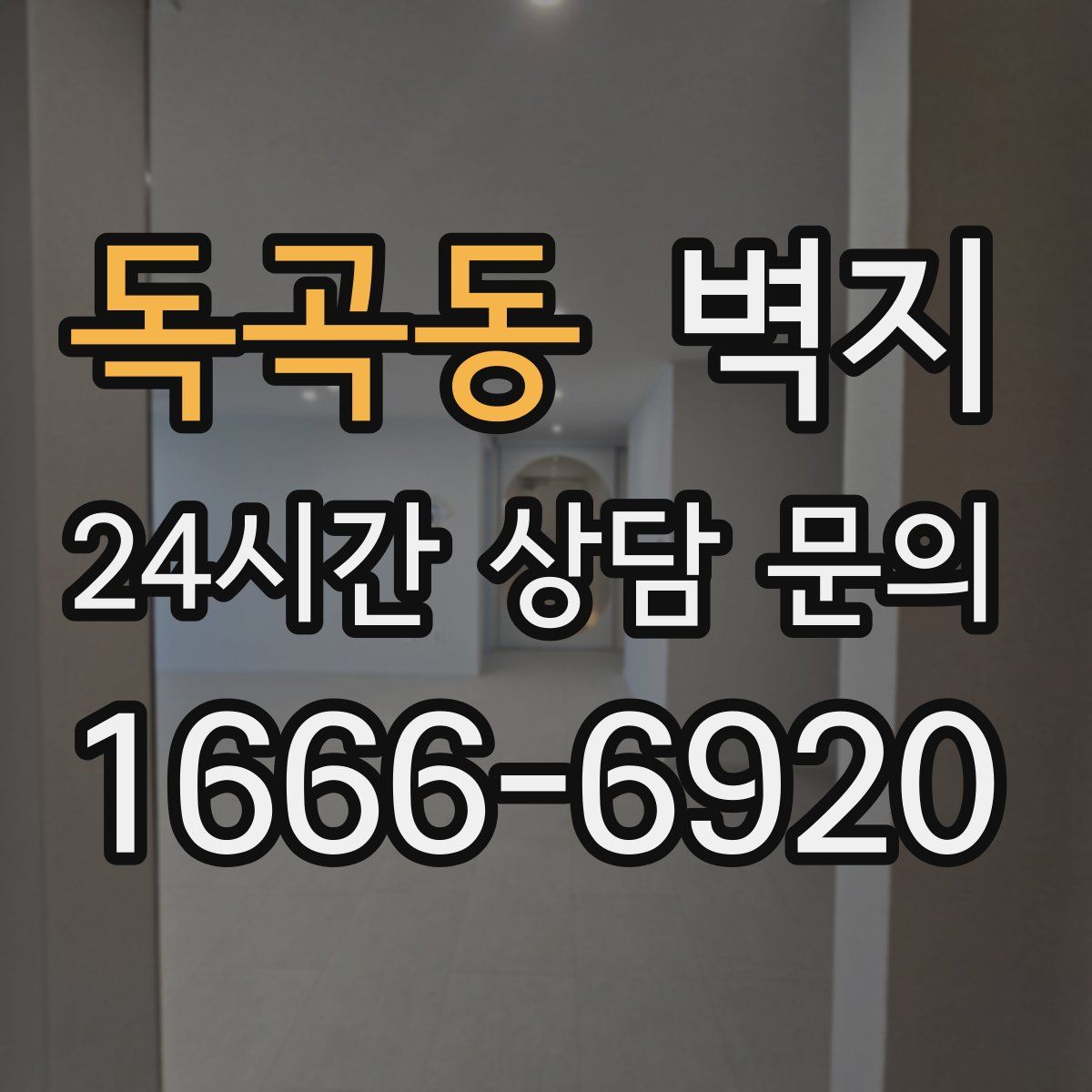 독곡동 벽지