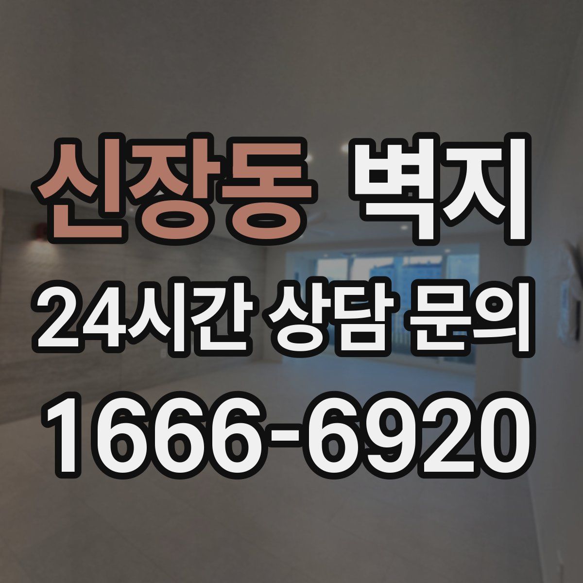 신장동 벽지