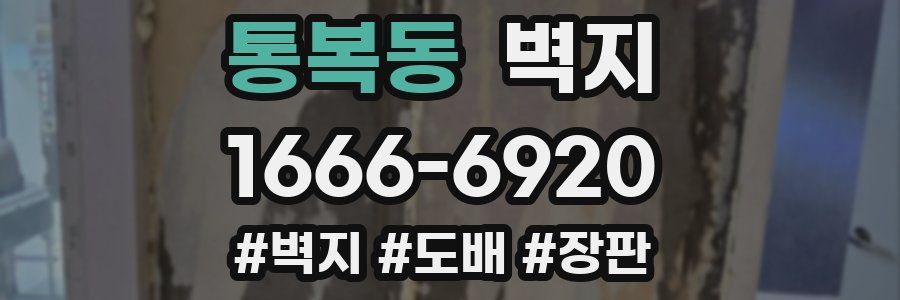 통복동 벽지