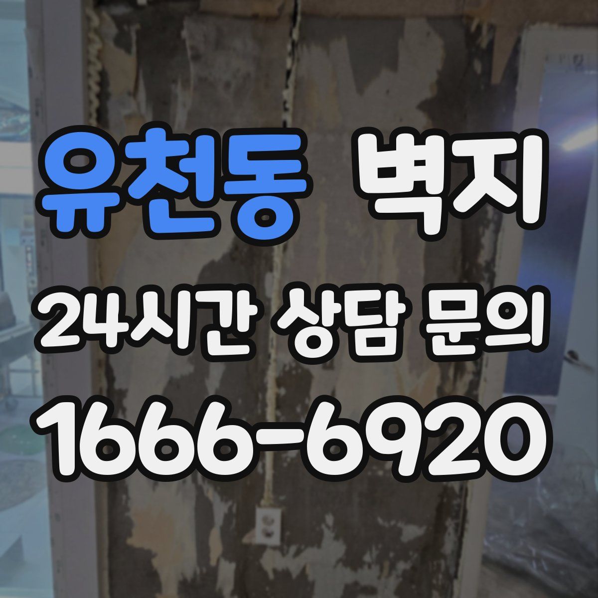 유천동 벽지