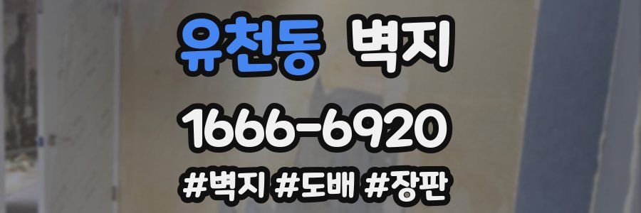 유천동 벽지