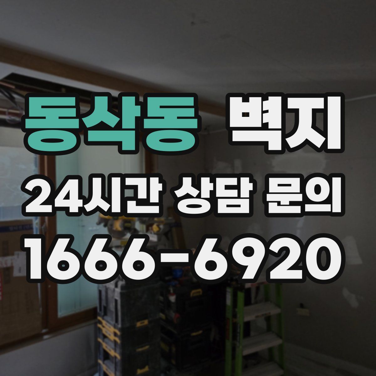 동삭동 벽지