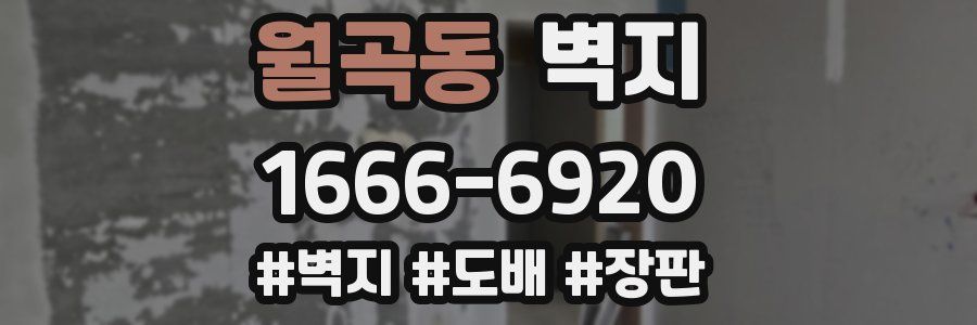 월곡동 벽지