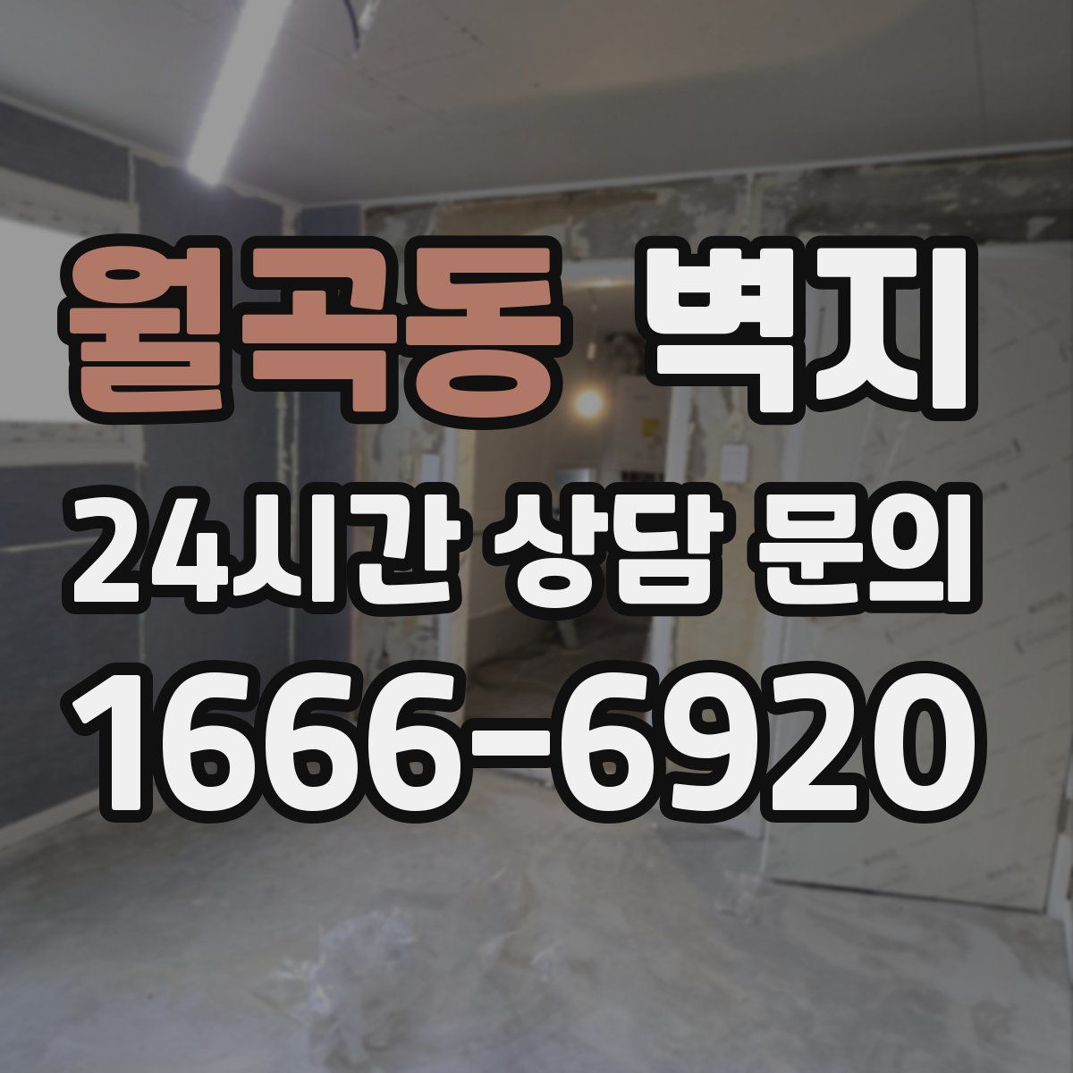 월곡동 벽지