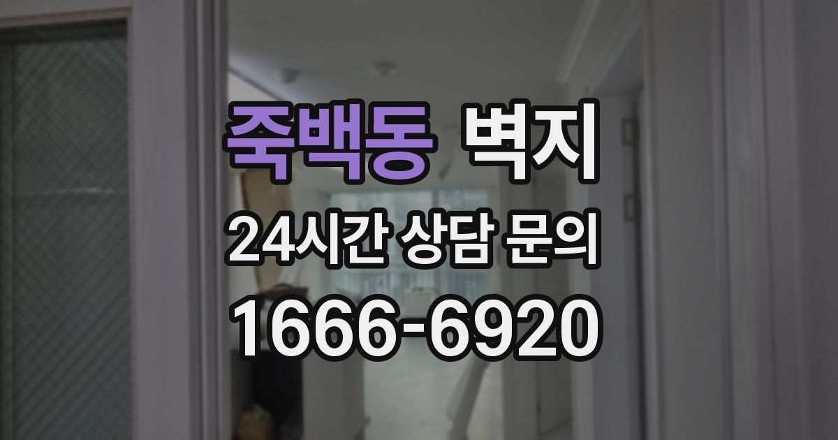 죽백동 벽지