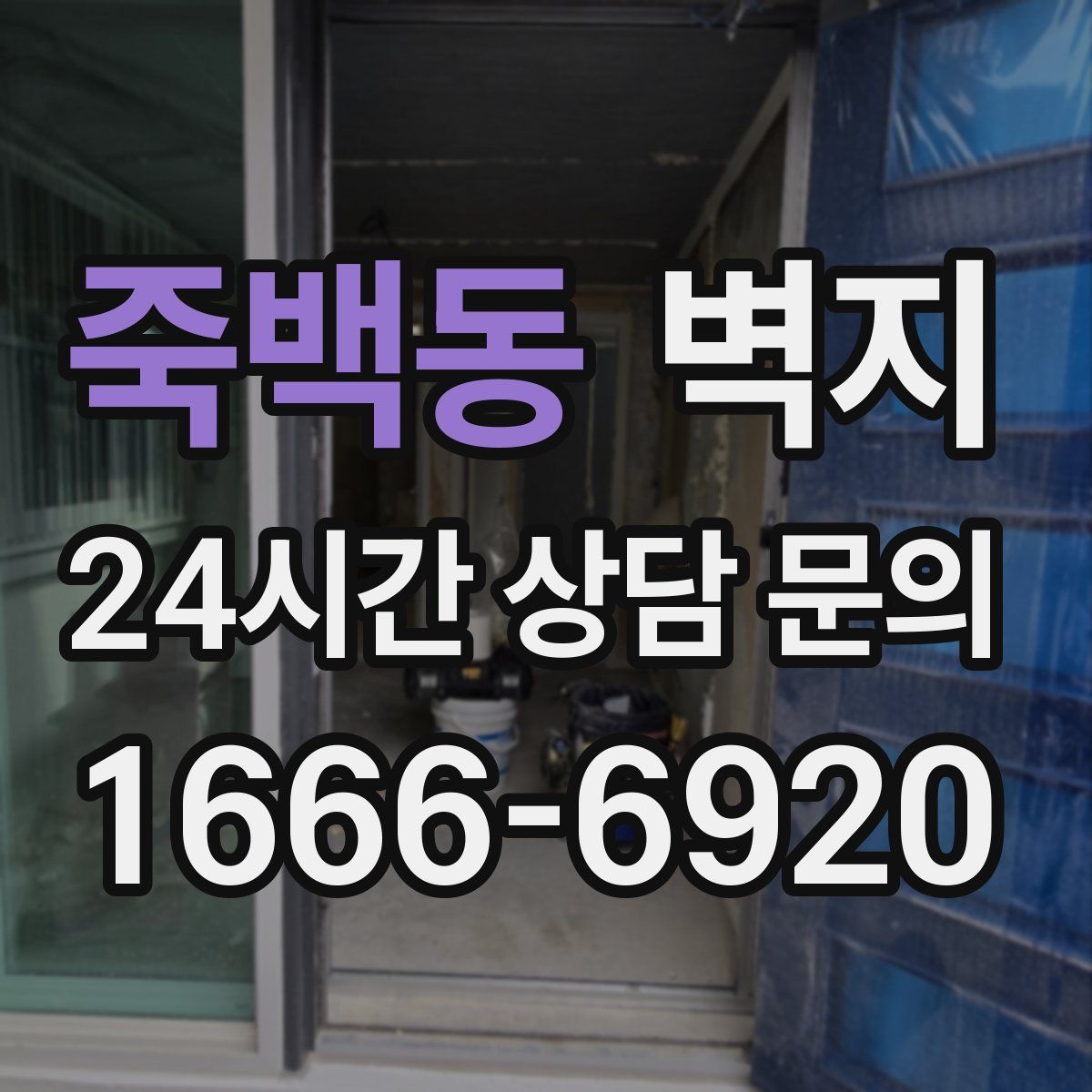 죽백동 벽지