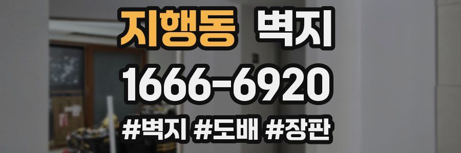 지행동 벽지