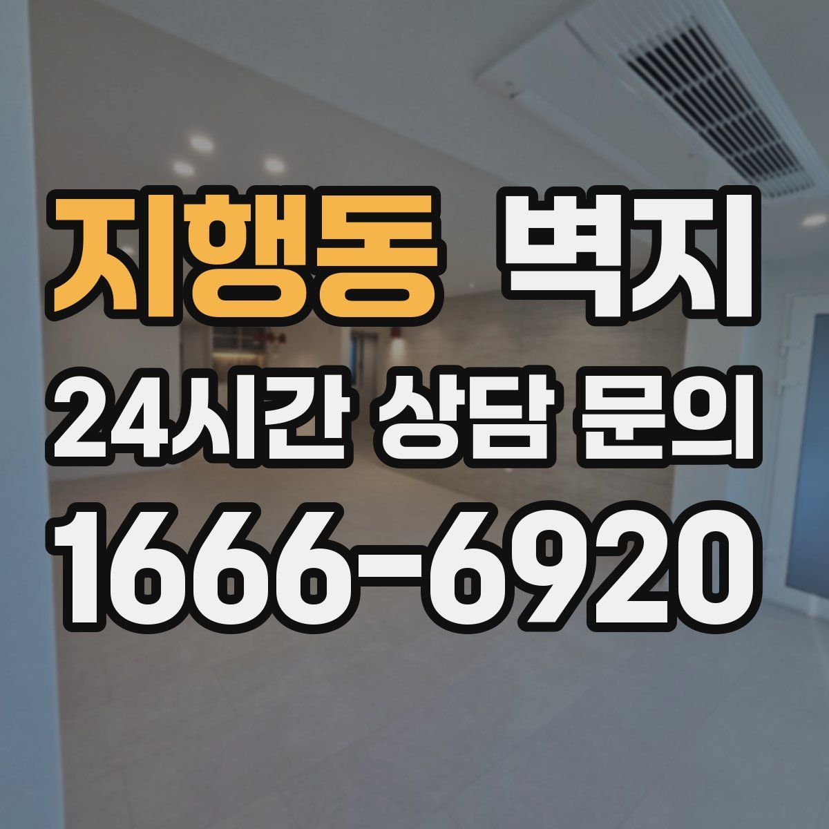 지행동 벽지