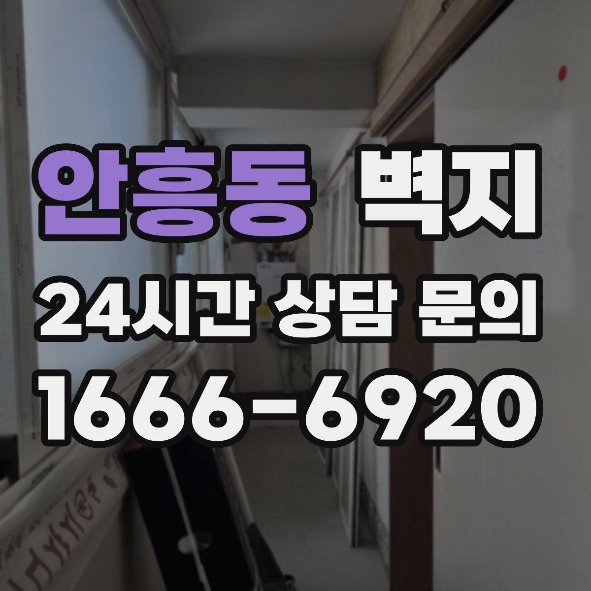 안흥동 벽지