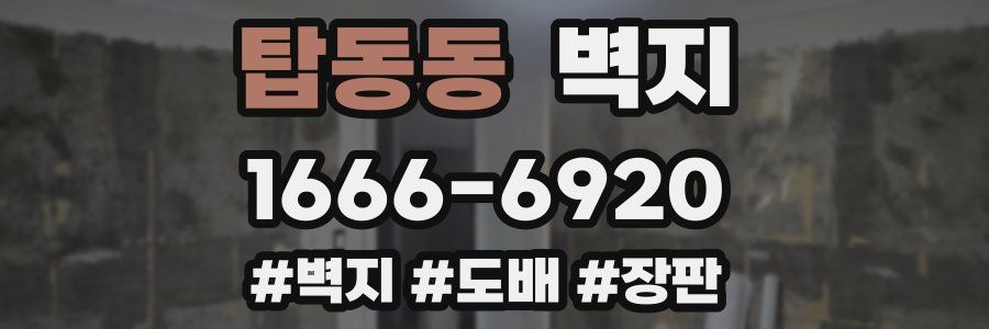 탑동동 벽지