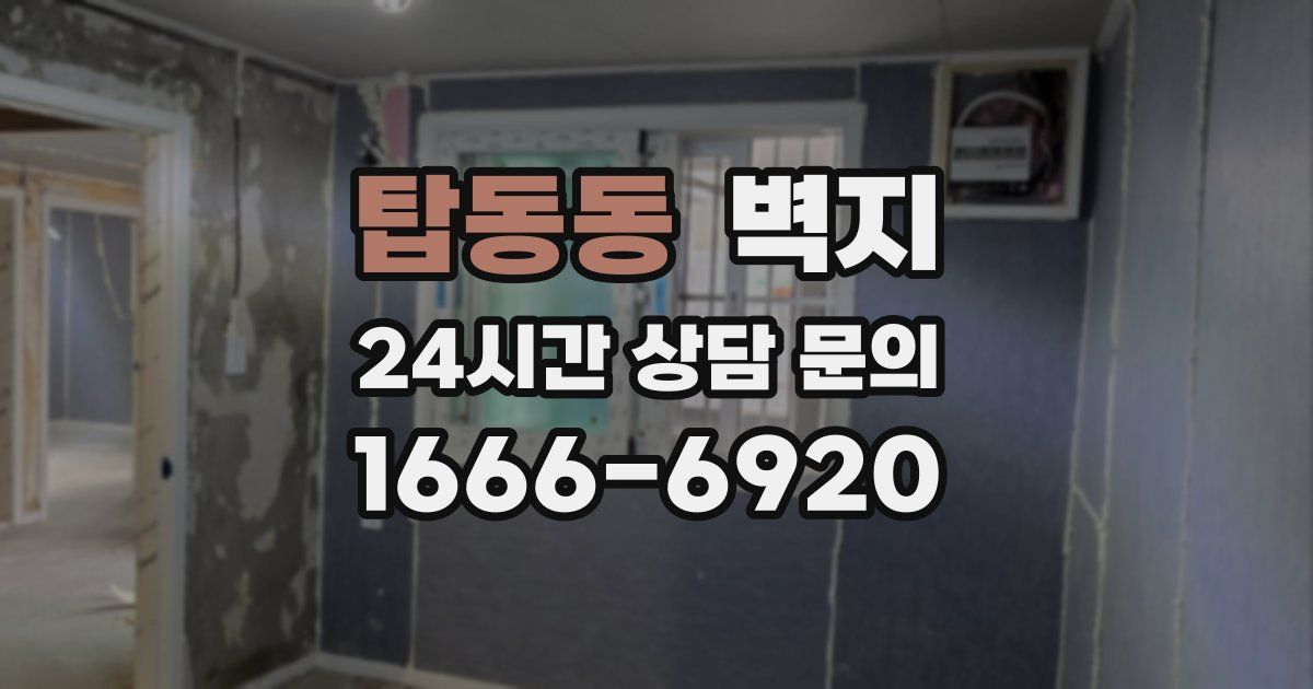 탑동동 벽지