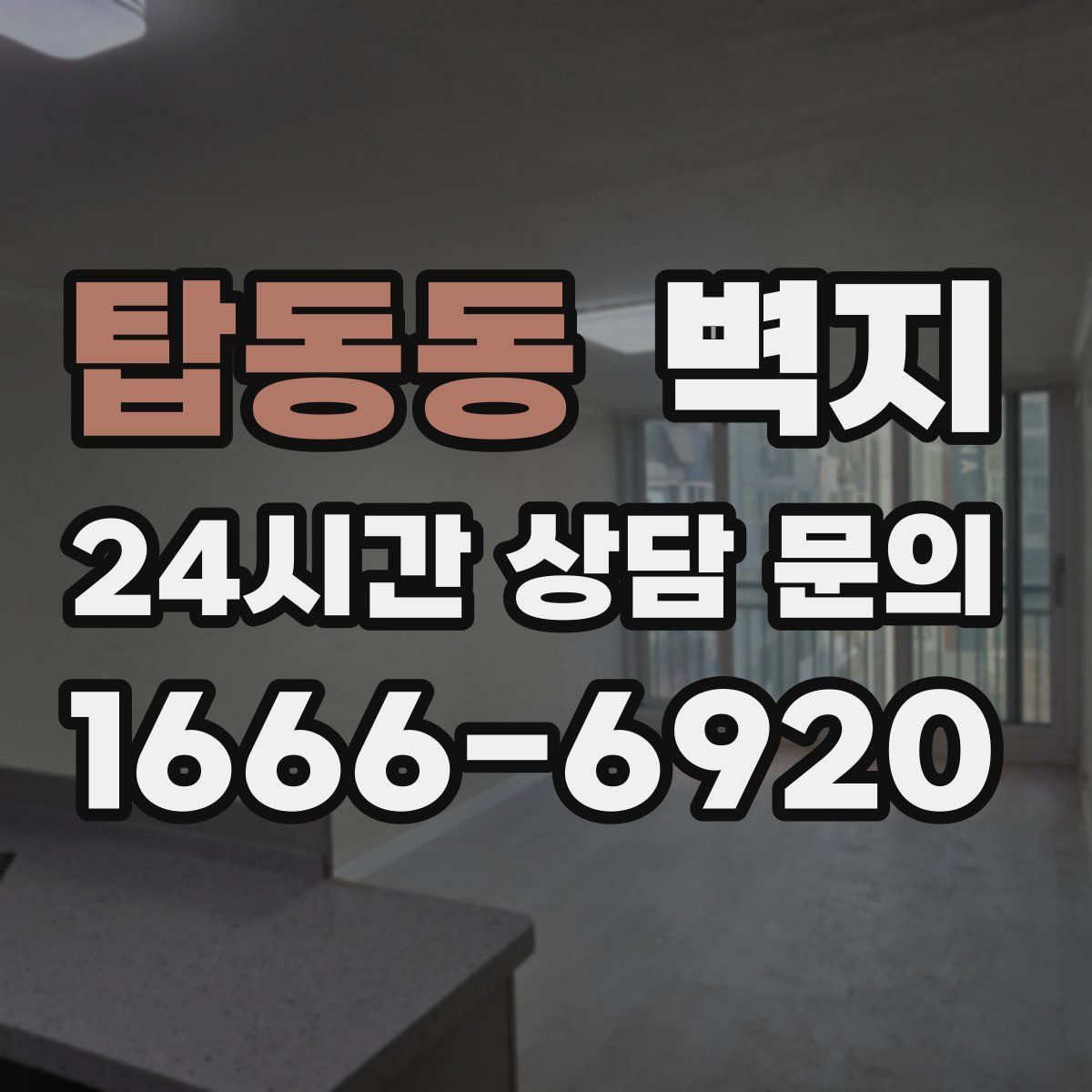 탑동동 벽지
