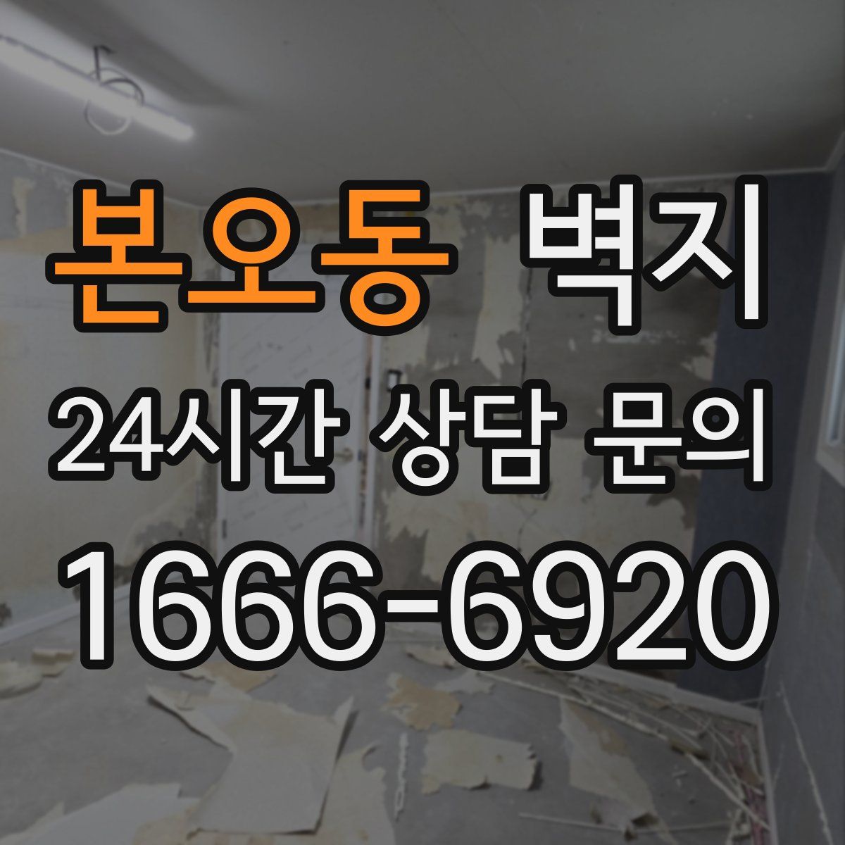 본오동 벽지