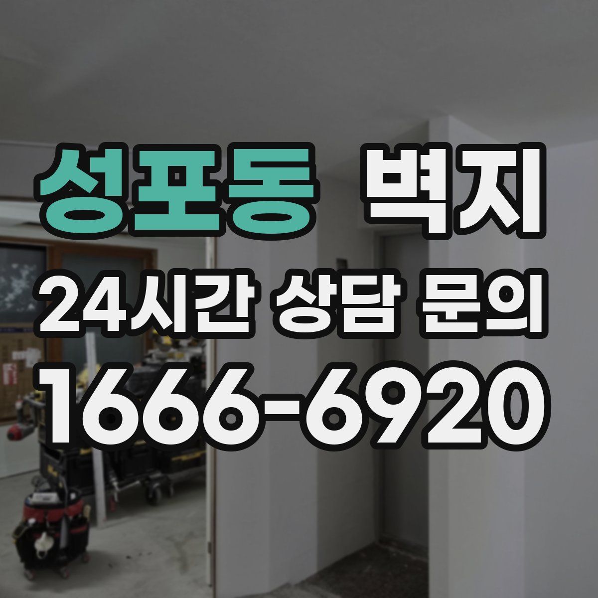 성포동 벽지