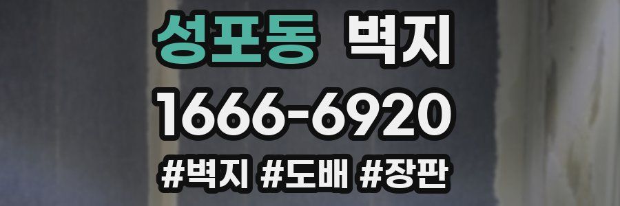 성포동 벽지