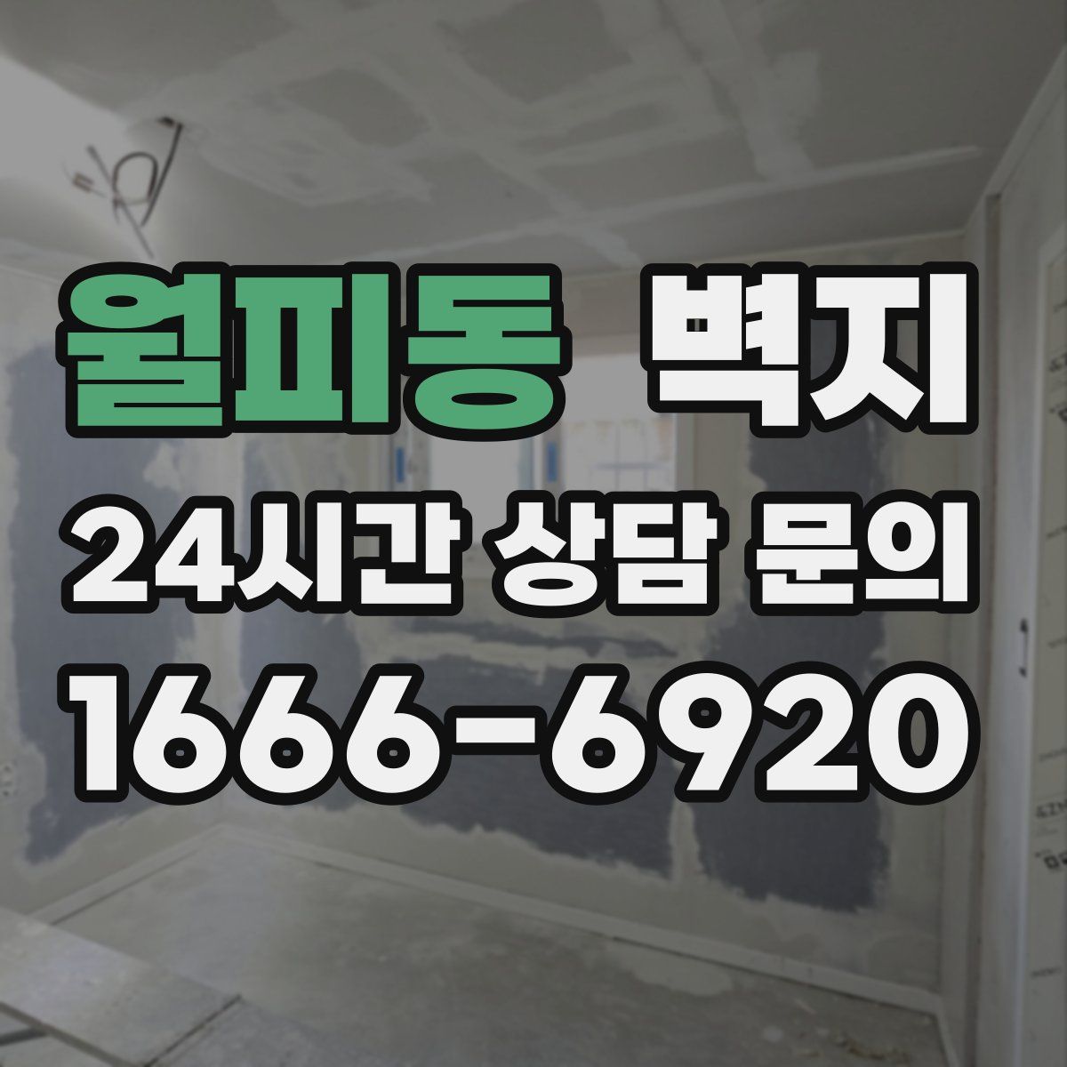 월피동 벽지