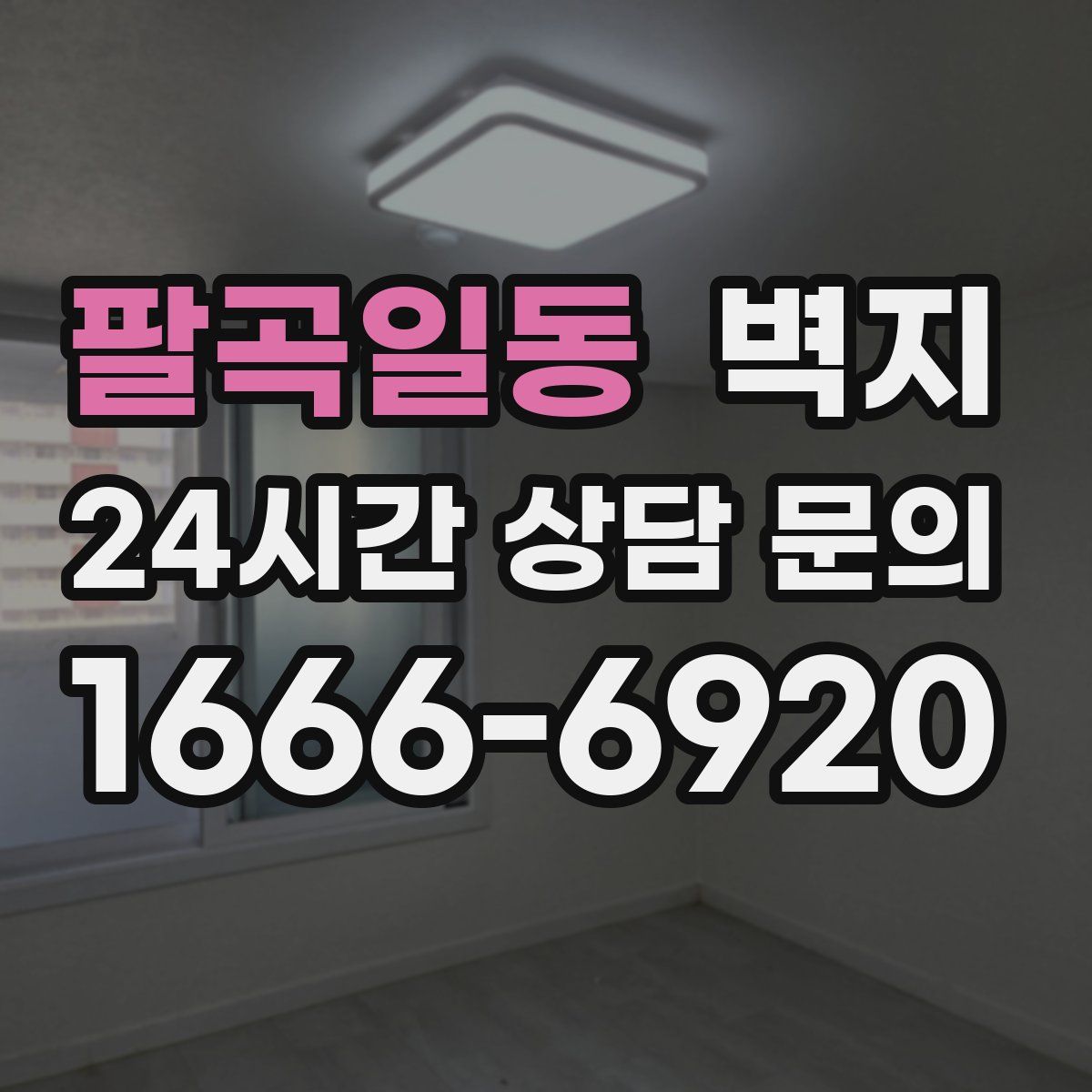 팔곡일동 벽지