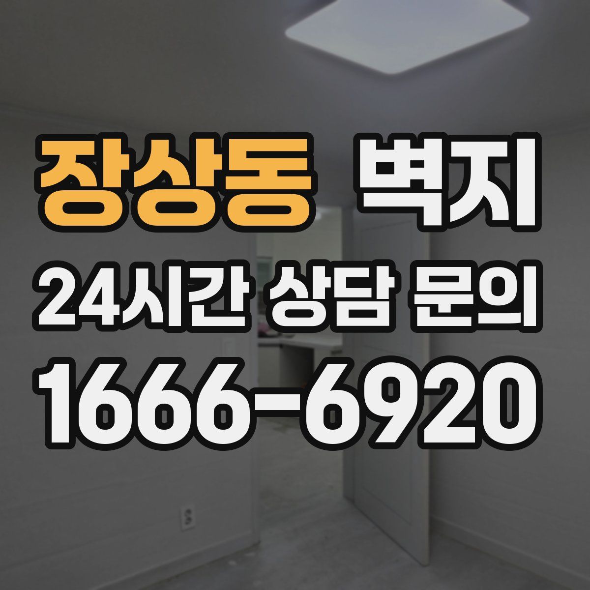 장상동 벽지