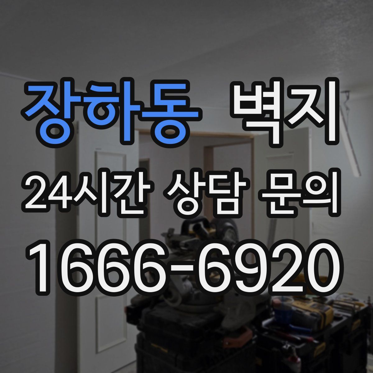 장하동 벽지