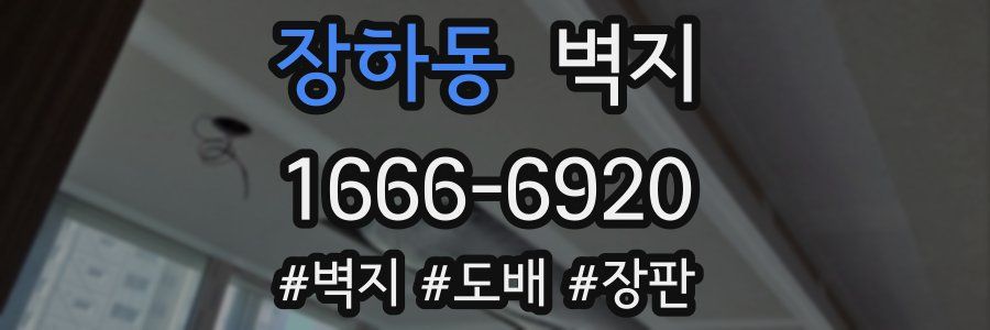 장하동 벽지