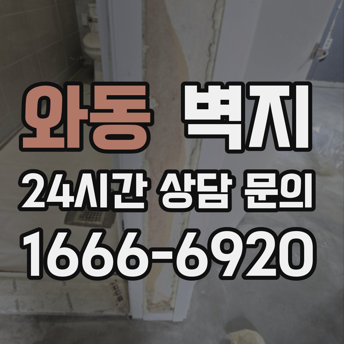 와동 벽지