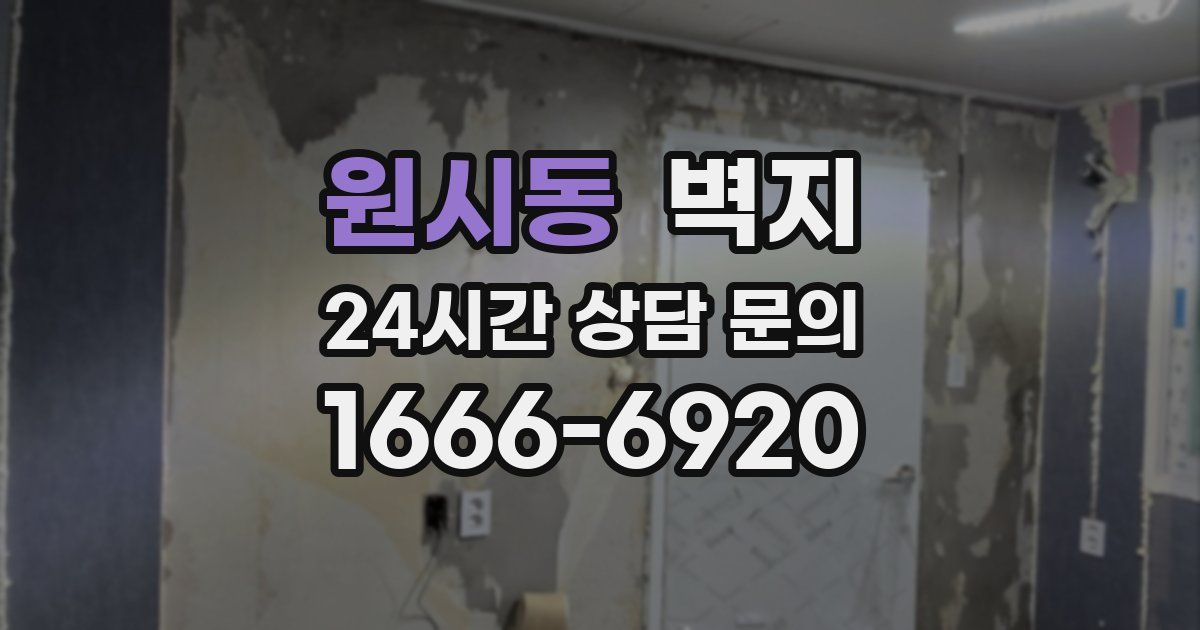 원시동 벽지