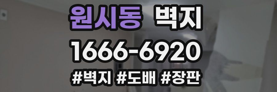원시동 벽지