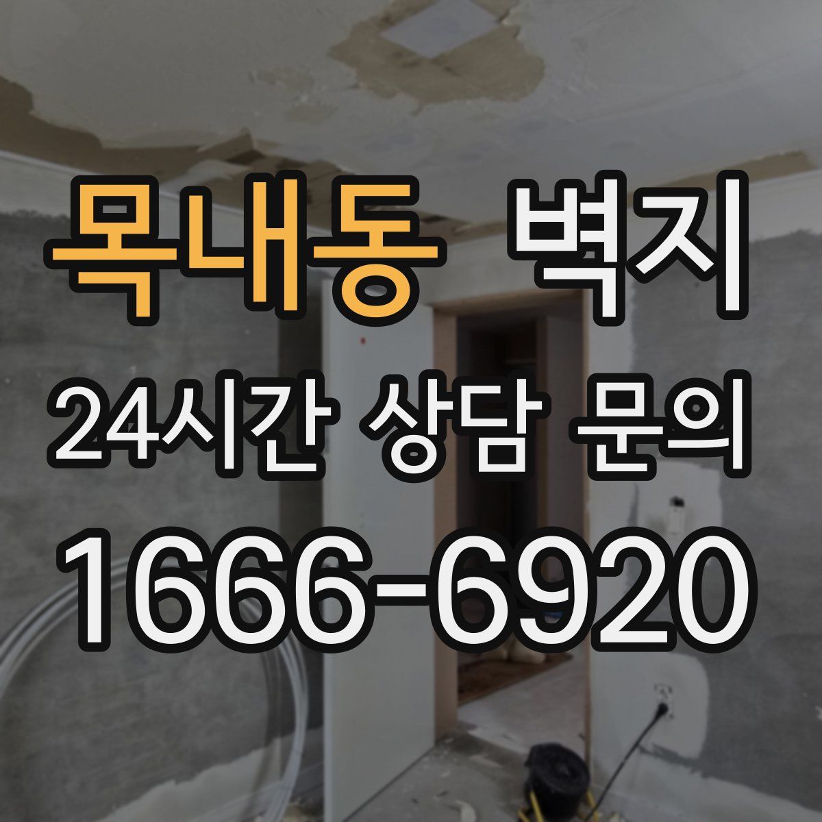목내동 벽지