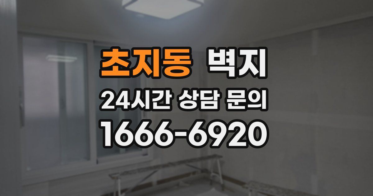 초지동 벽지