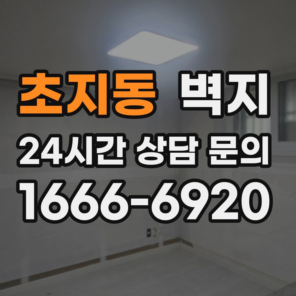 초지동 벽지