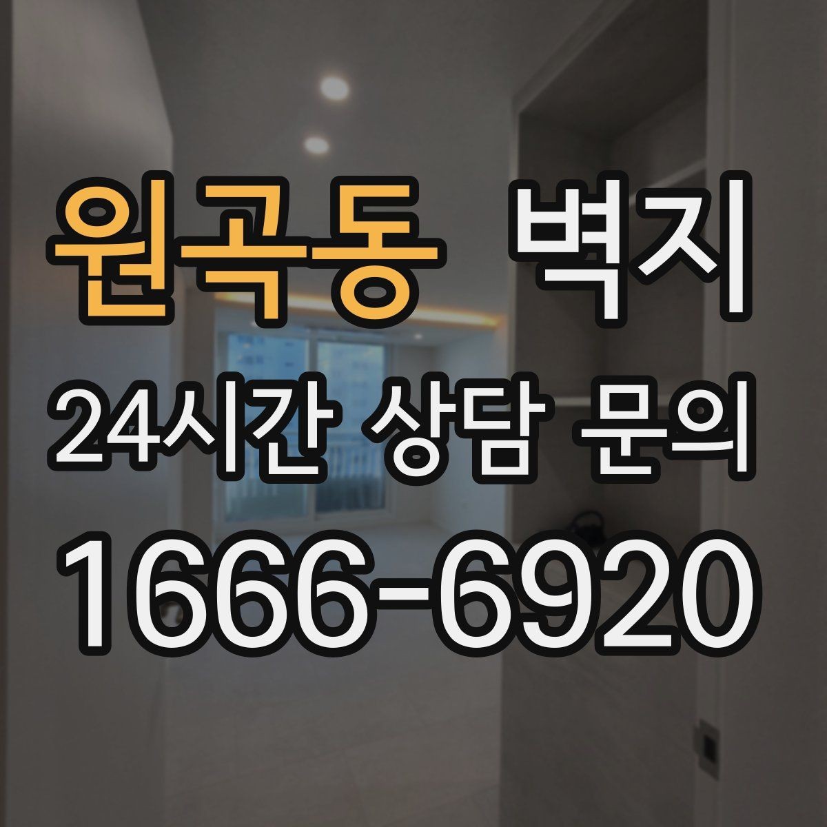 원곡동 벽지 선택에서 유행보다 중요한 것