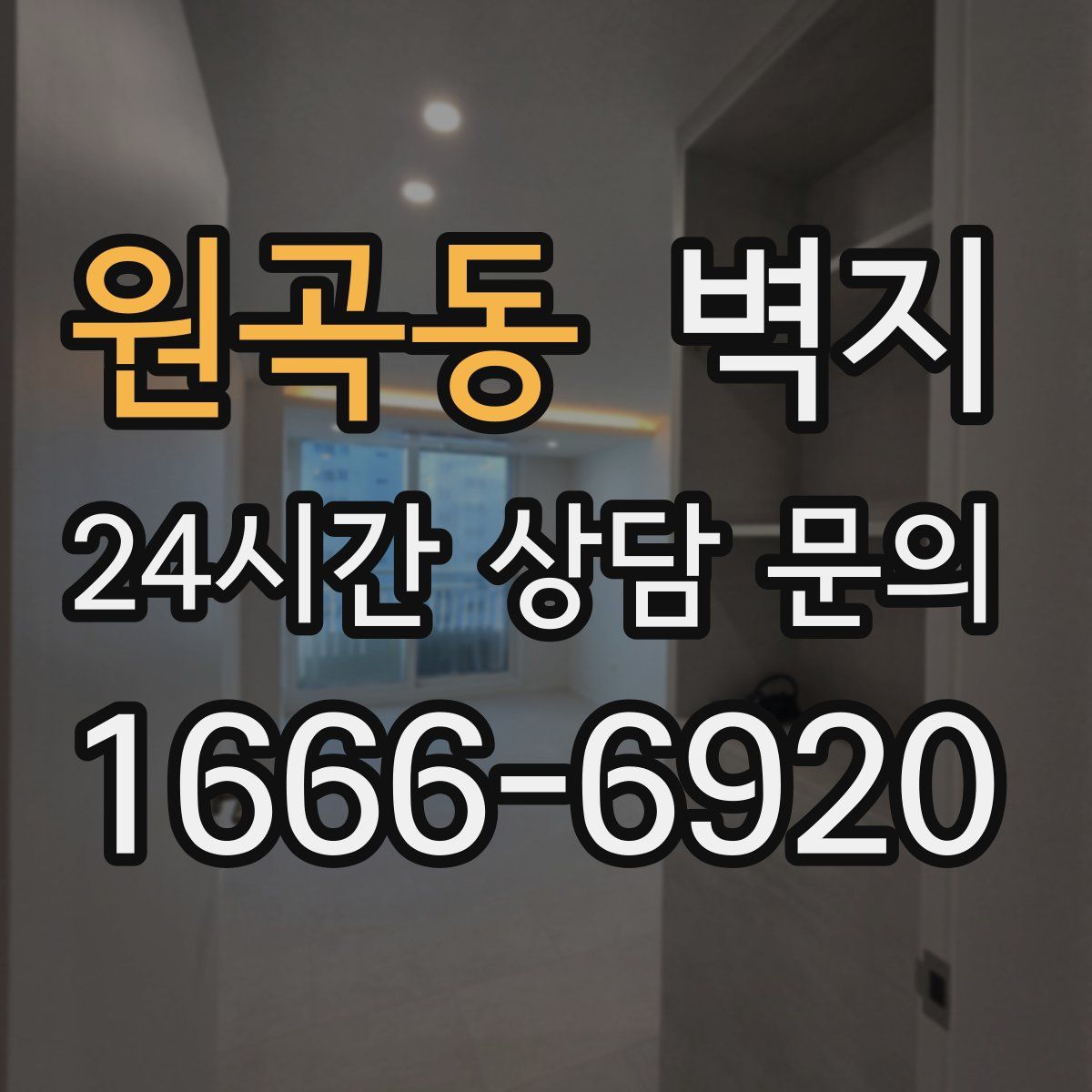 원곡동 벽지