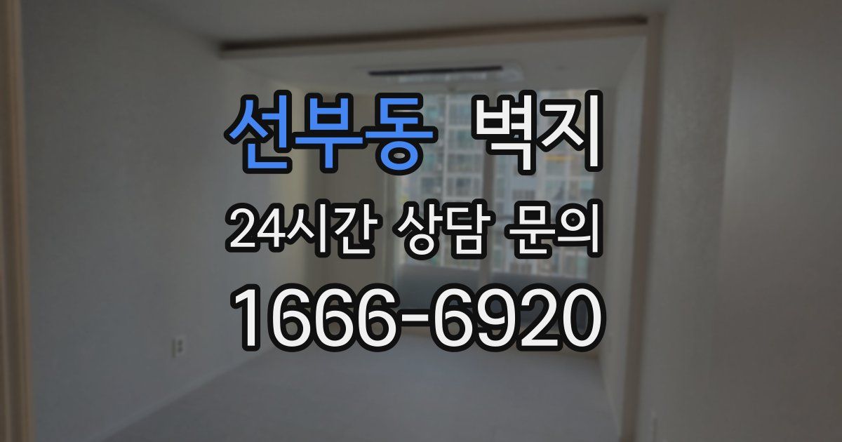 선부동 벽지