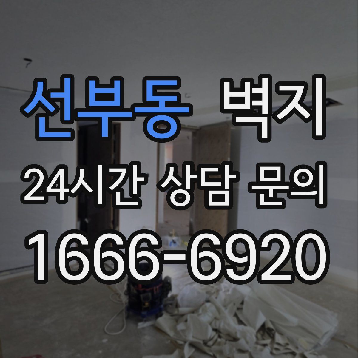 선부동 벽지