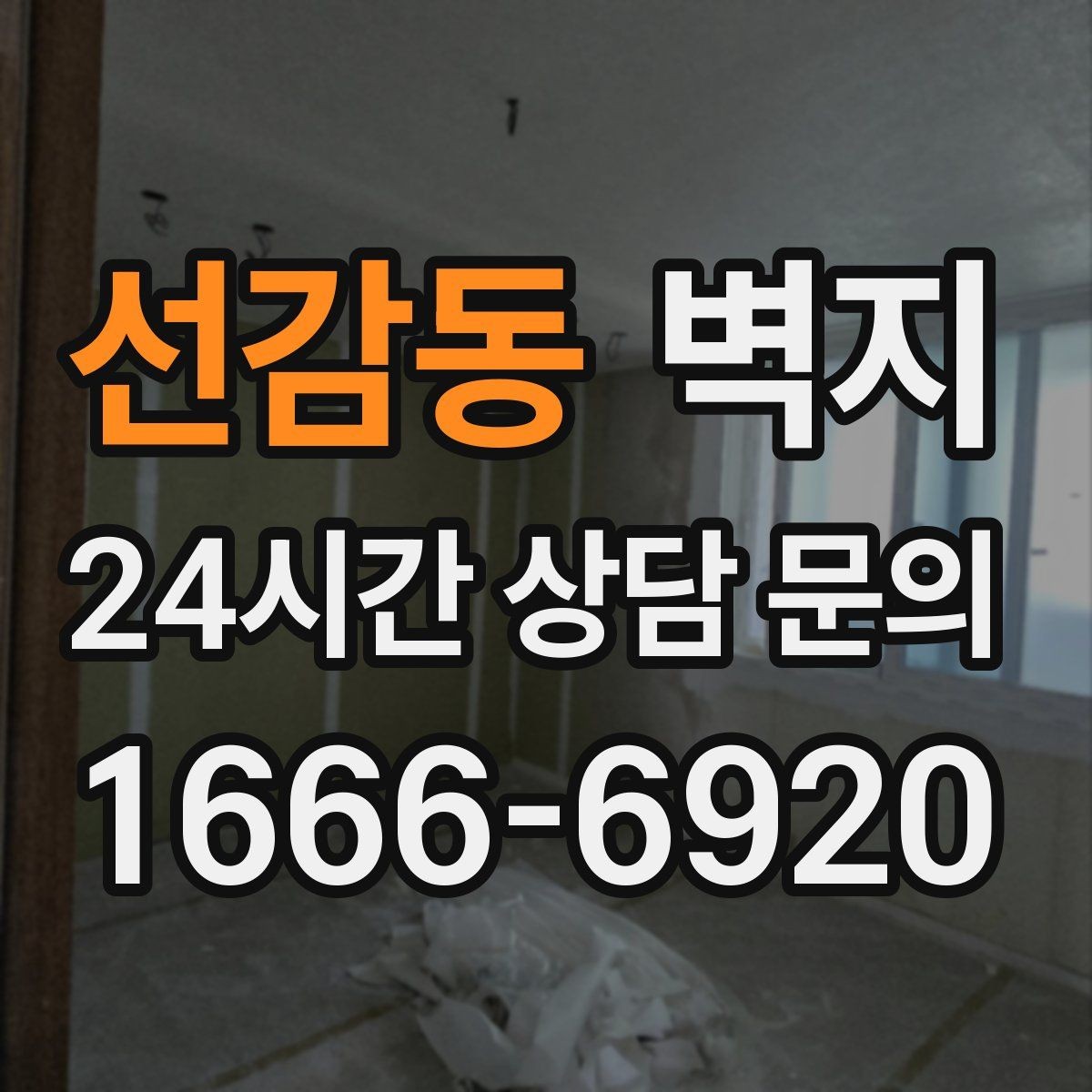 선감동 벽지 고를 때 실내 채광까지 함께 보기