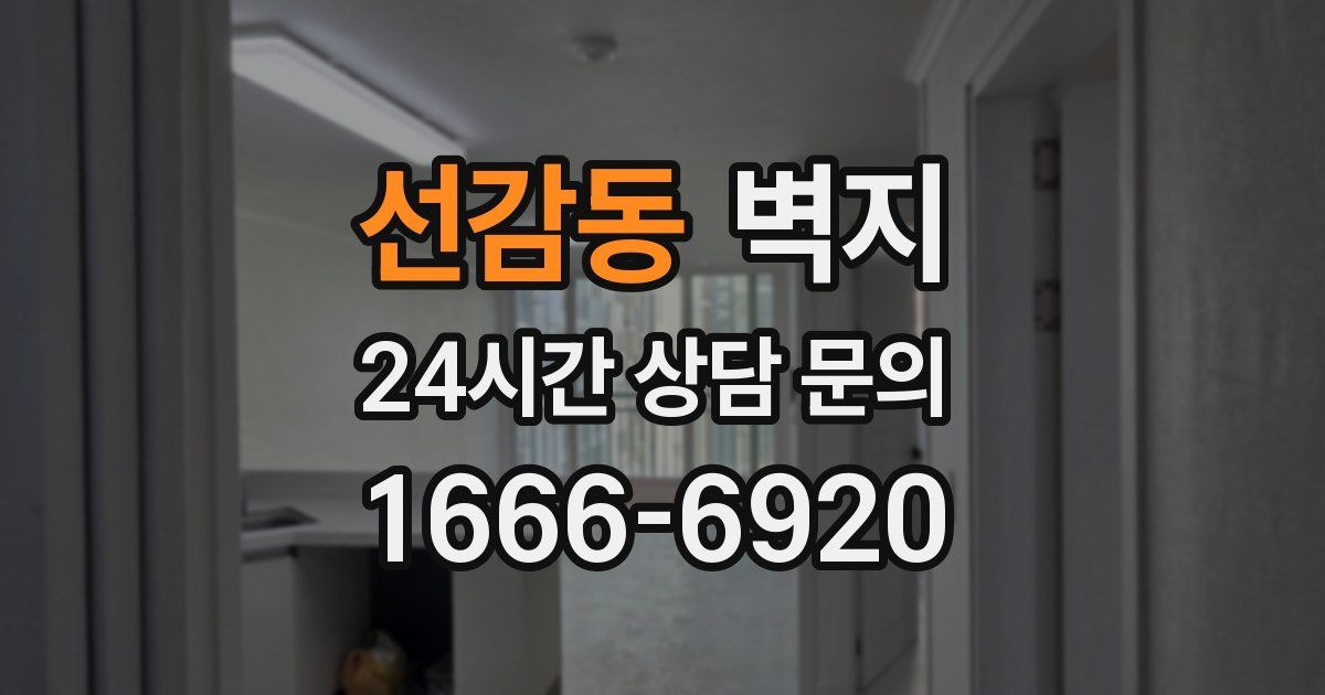 선감동 벽지