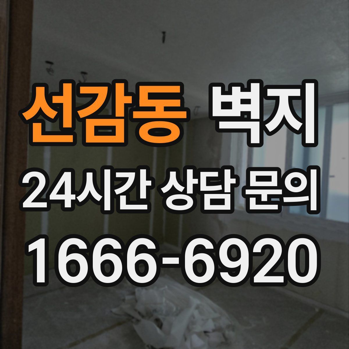 선감동 벽지