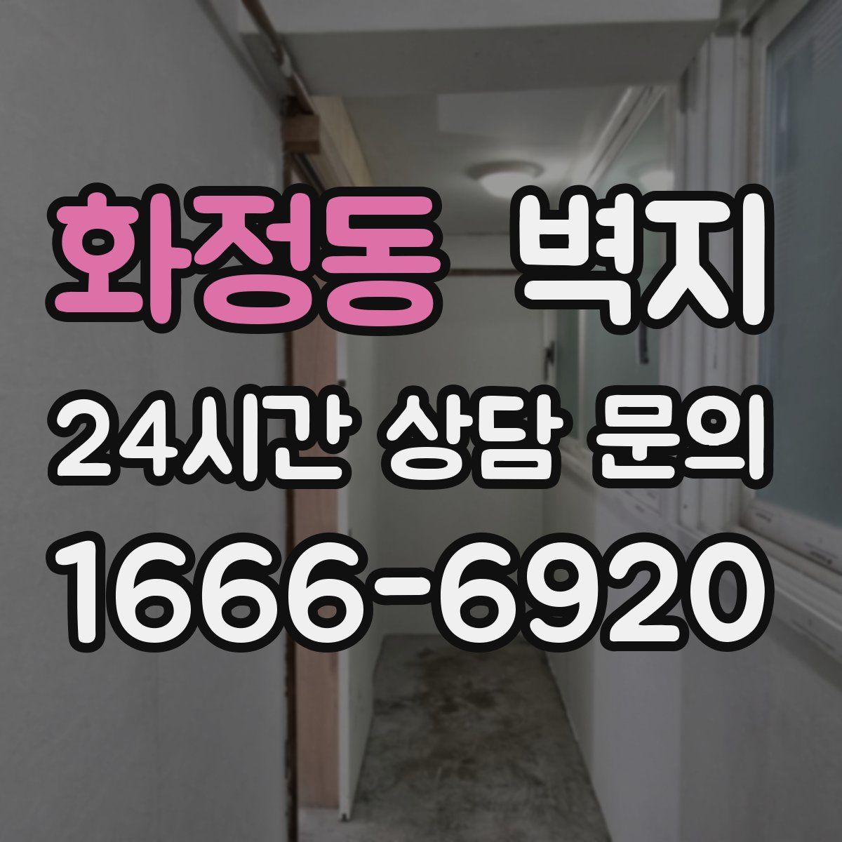 화정동 벽지