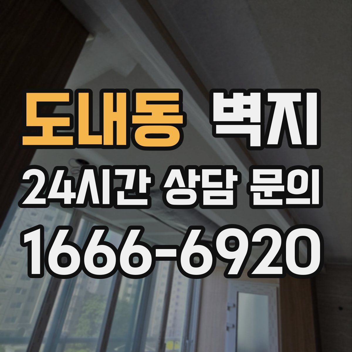 도내동 벽지