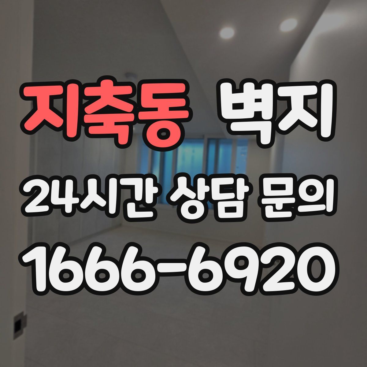 지축동 벽지