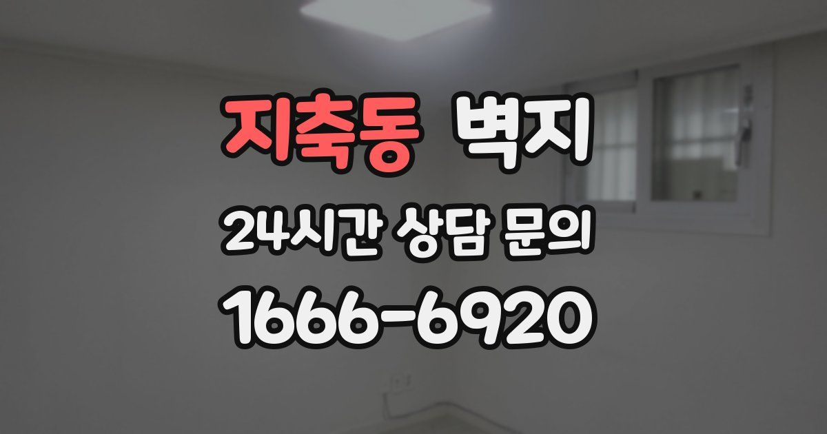 지축동 벽지